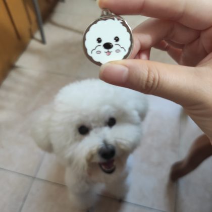Enamel Dog ID Tags Laser Engraved Pet Tags Dog Keychains Custom Dog Owner Gifts (12)